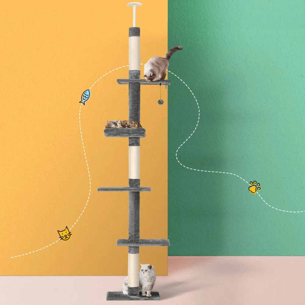 PET-CAT-POLE-GRWH-89867-04.webp